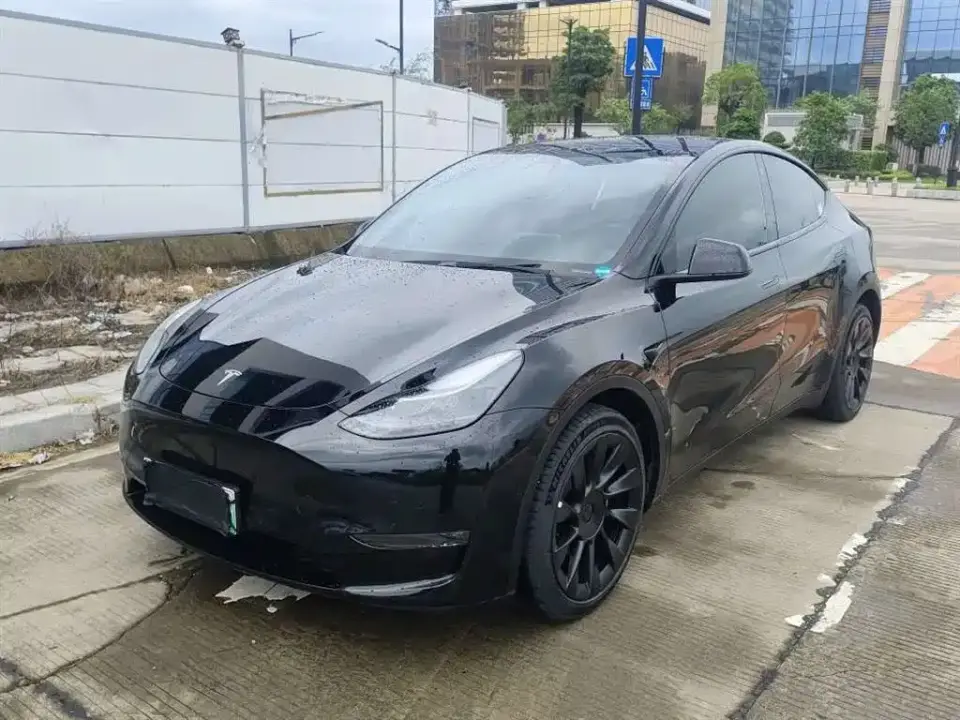 Tesla Model Y Long Range All-Wheel Drive 3D7 2021