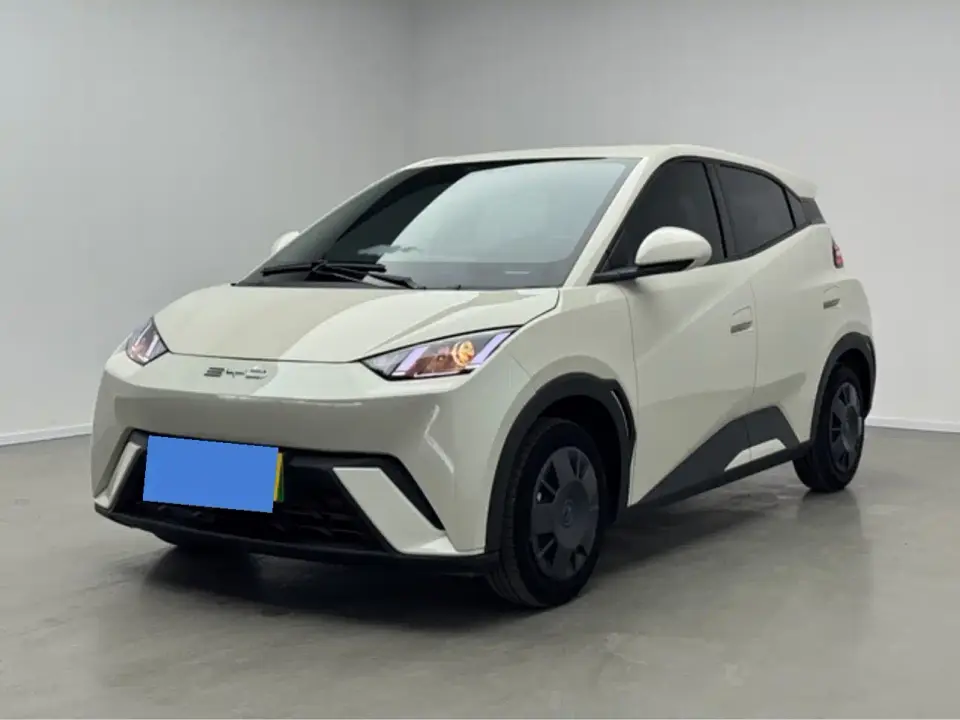 BYD Seagull 305km Vitality 2024