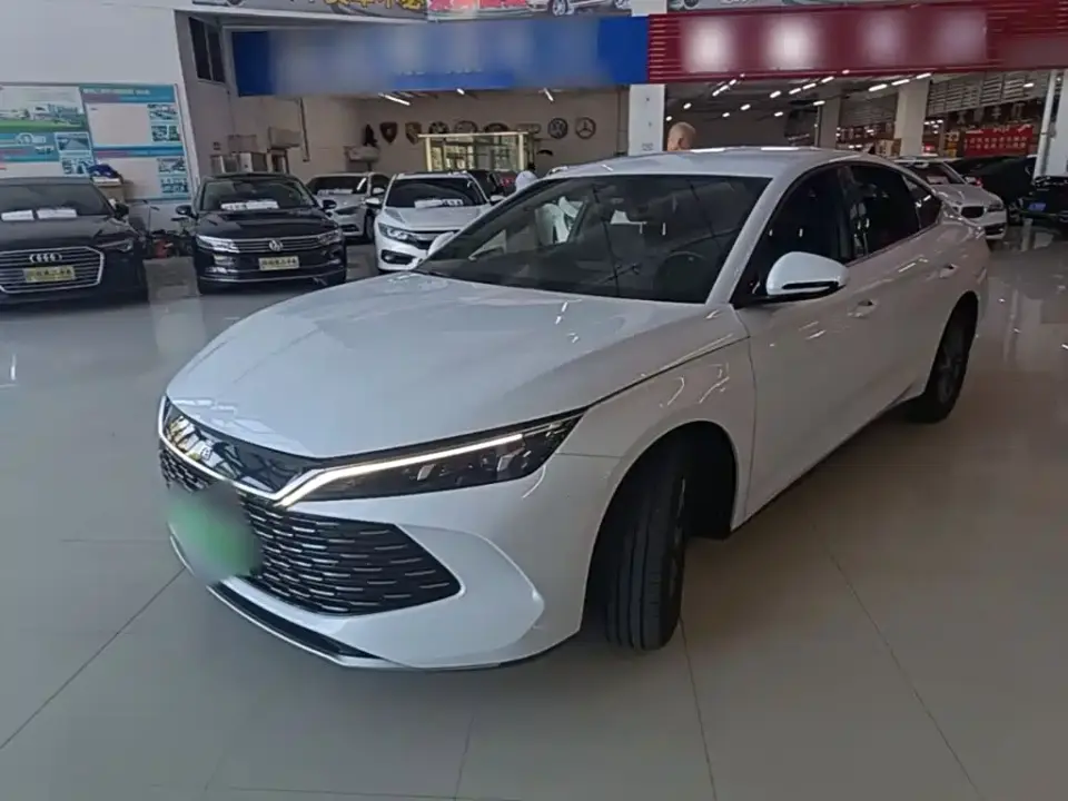 BYD Qin L DM-i 80KM Leading Edition 2024