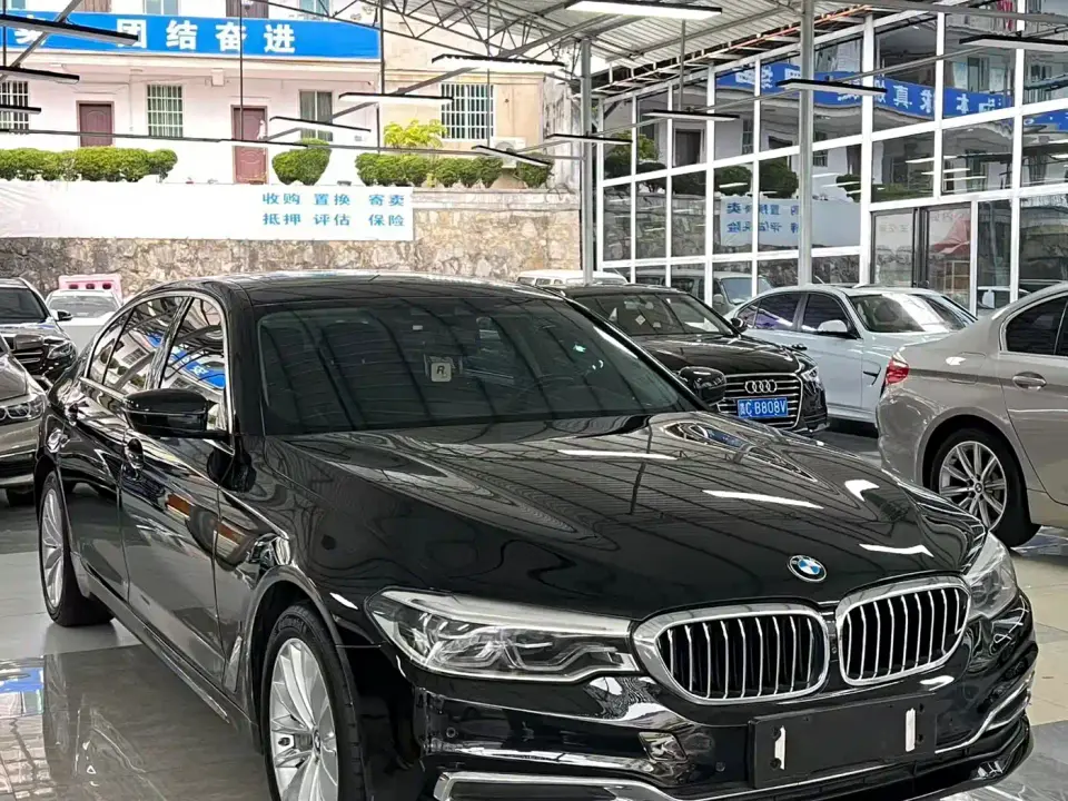 BMW 5 Series New Energy Facelift 530Le Luxury Package 2019