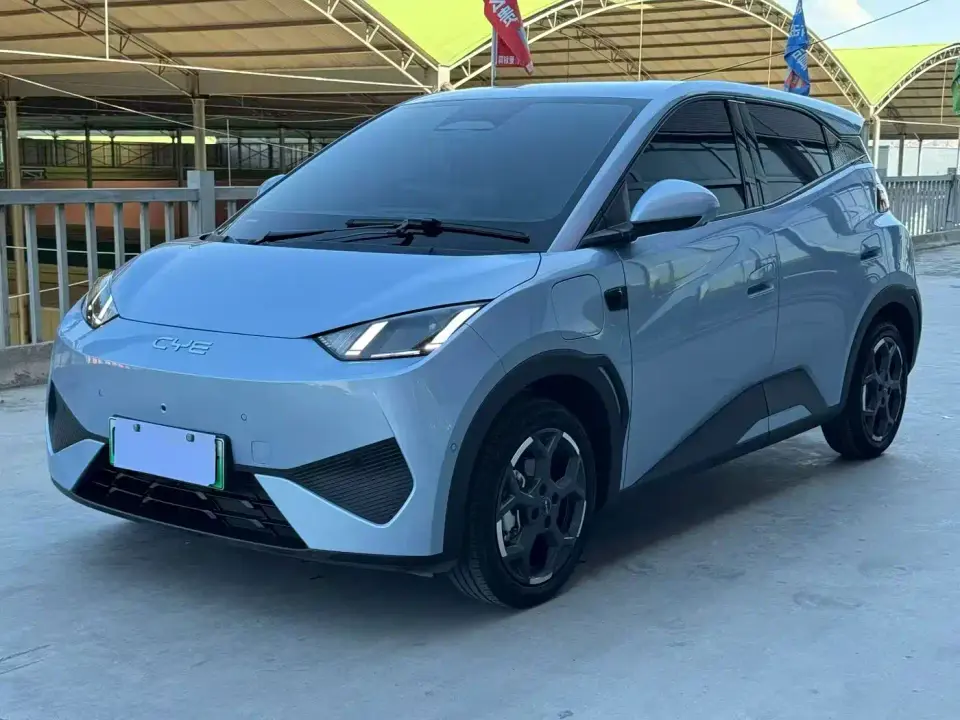 BYD Seagull Smart Drive Edition 305km Freedom Version 2025