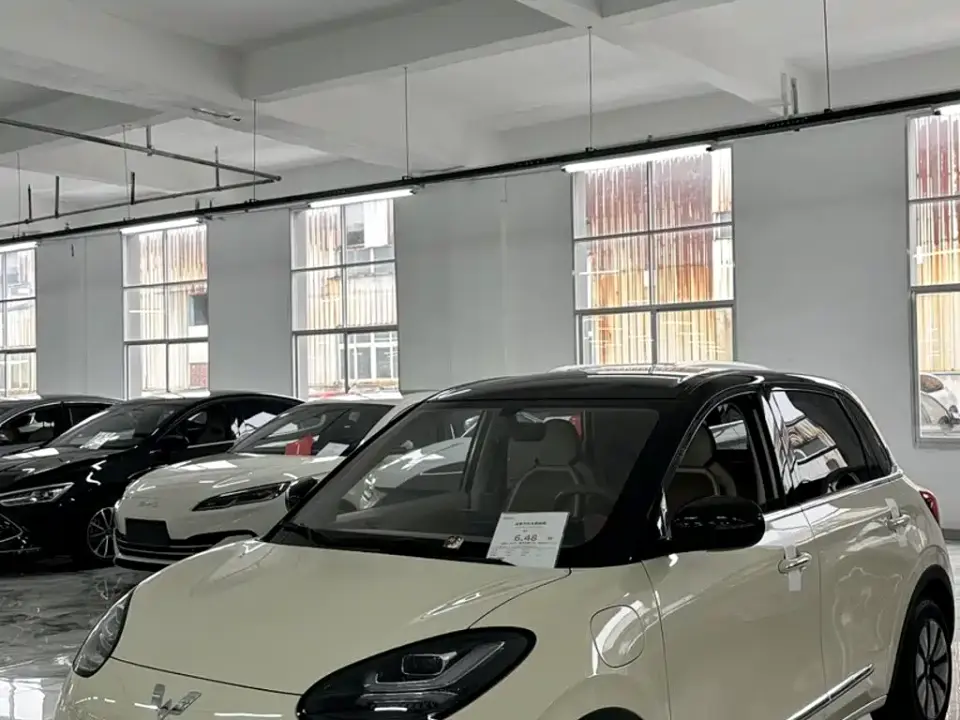 Wuling Motors Wuling Bingo Model 333km Joy Edition 2025