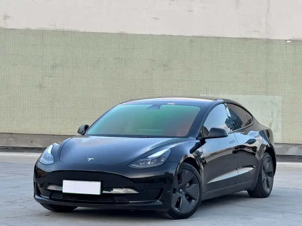 Tesla Model 3 Model Rear-Wheel Drive Version 2022