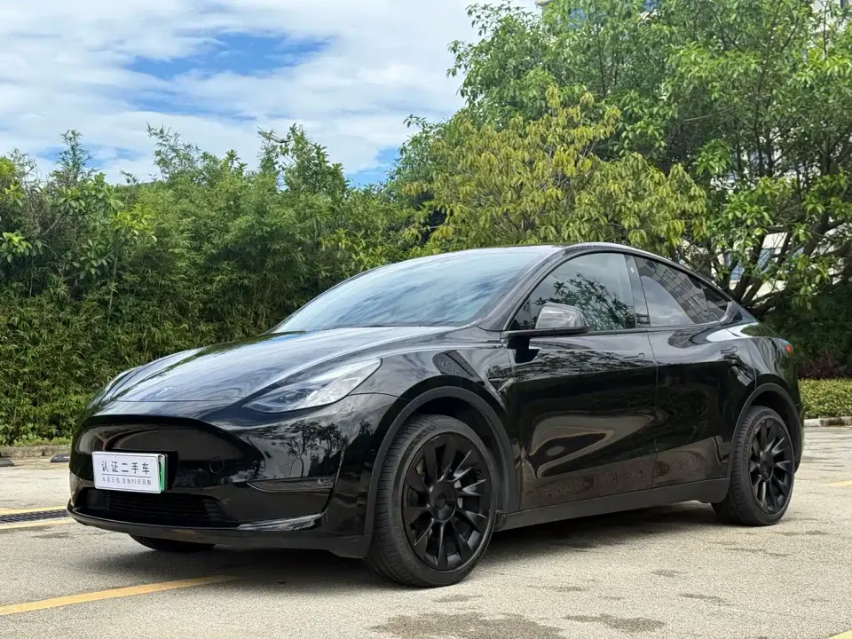 Tesla Model Y Long Range All-Wheel Drive Edition 2024