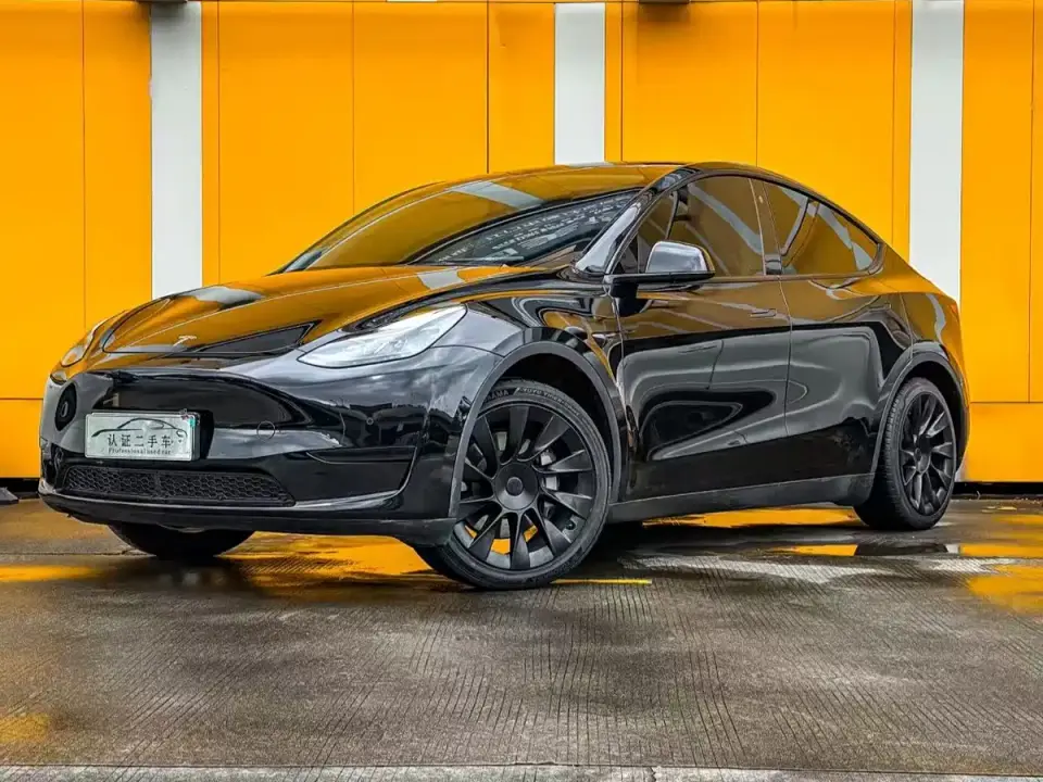 Tesla Model Y Rear-Wheel Drive Edition 2024