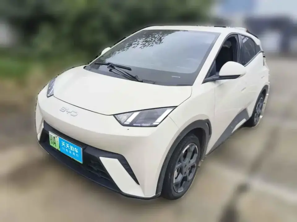 BYD Seagull 305km Freedom 2024