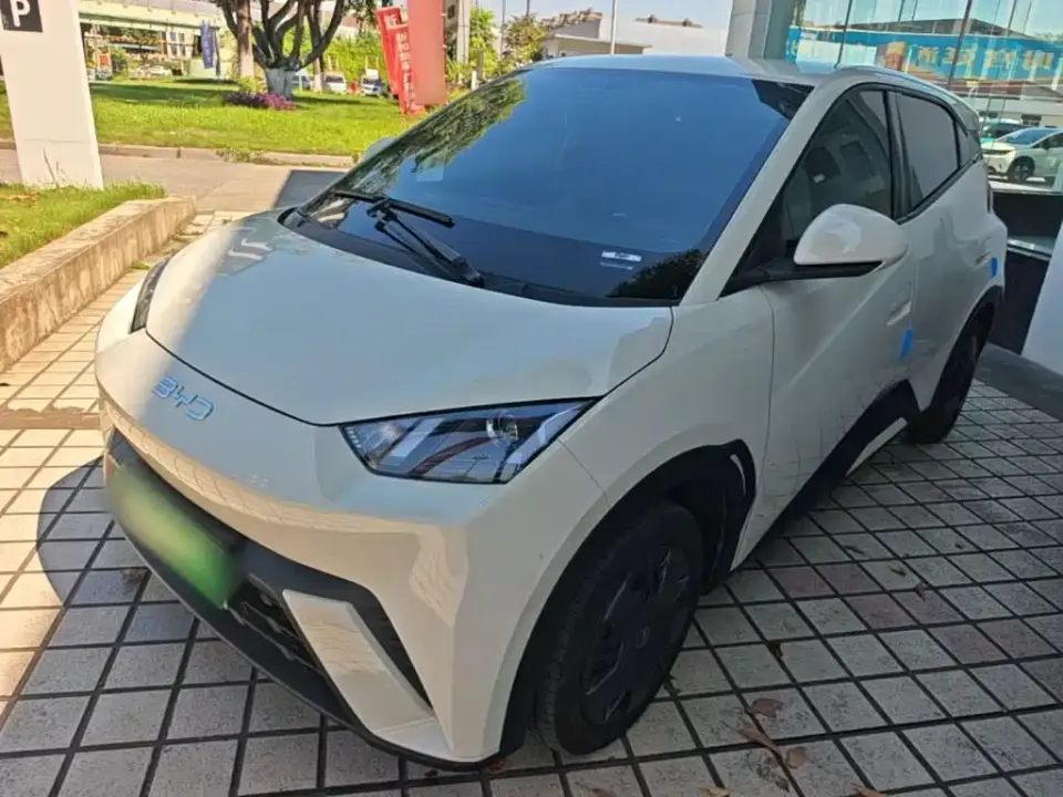 BYD Seagull Glory Edition 305km Vitality Edition 2024