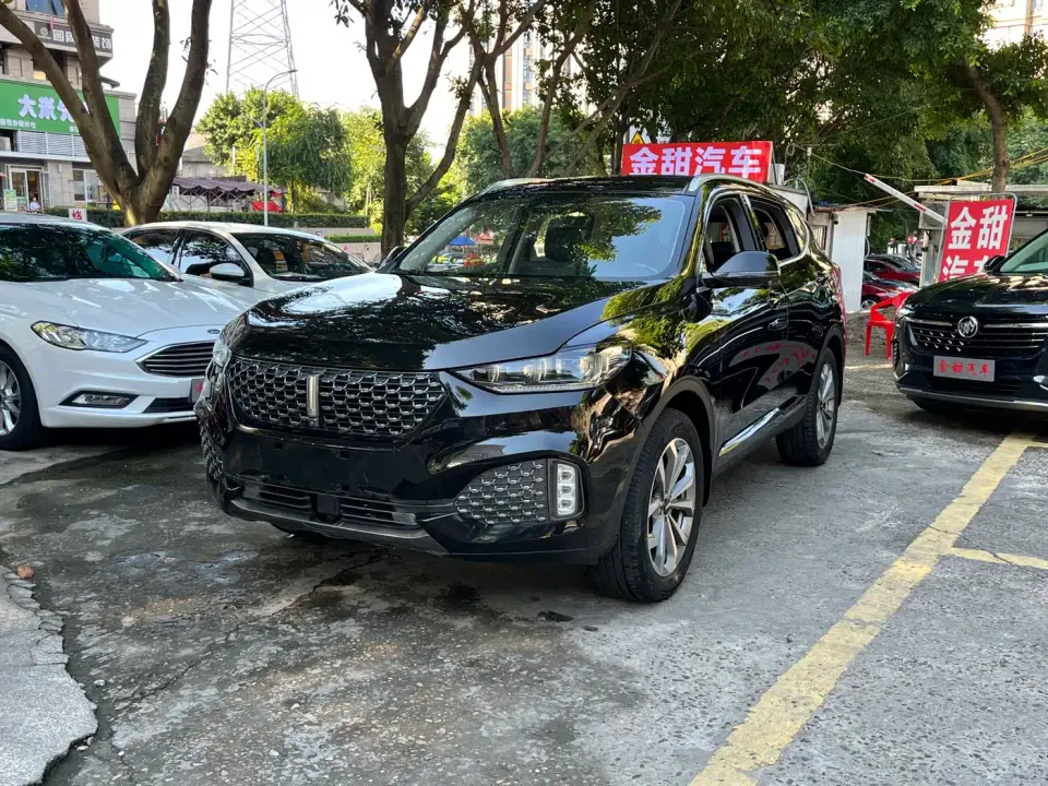 Wey VV6 2.0T 2WD Smart Protection+ 2019