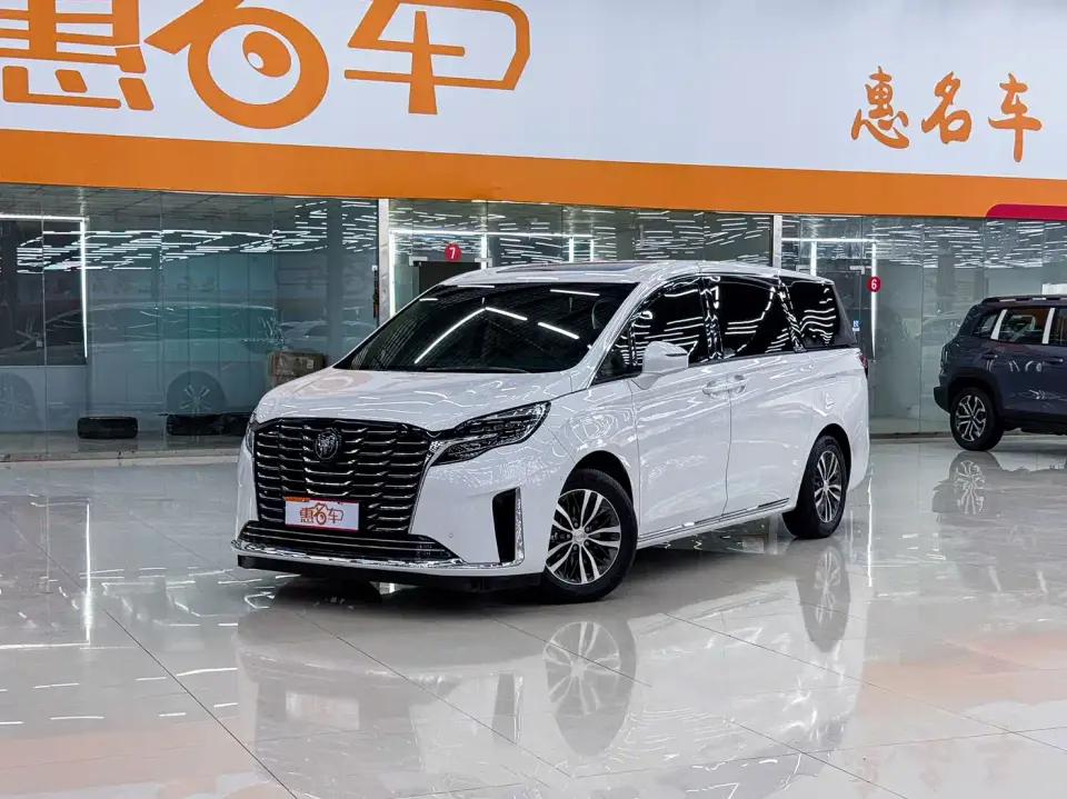 Buick GL8 ES Landmaster Exclusive 2024