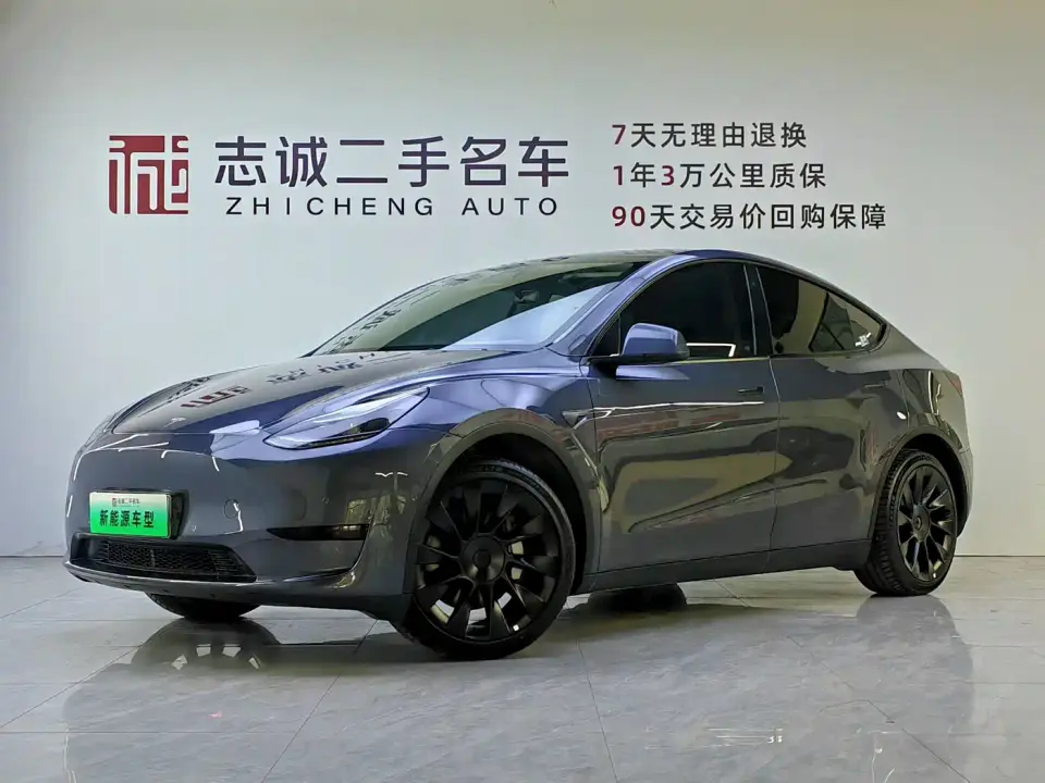 Tesla Model Y Model Long Range AWD 2021