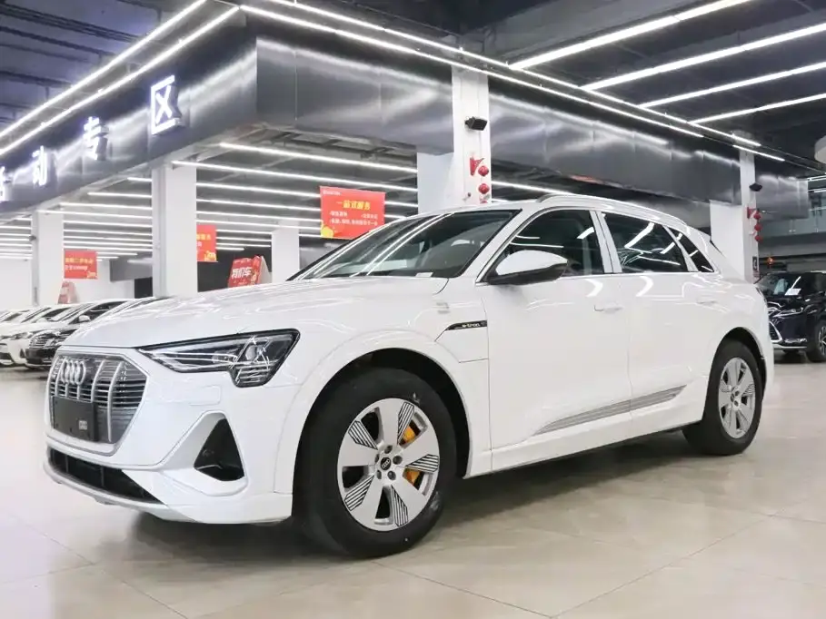 Audi e-tron 50 quattro Luxury 2025