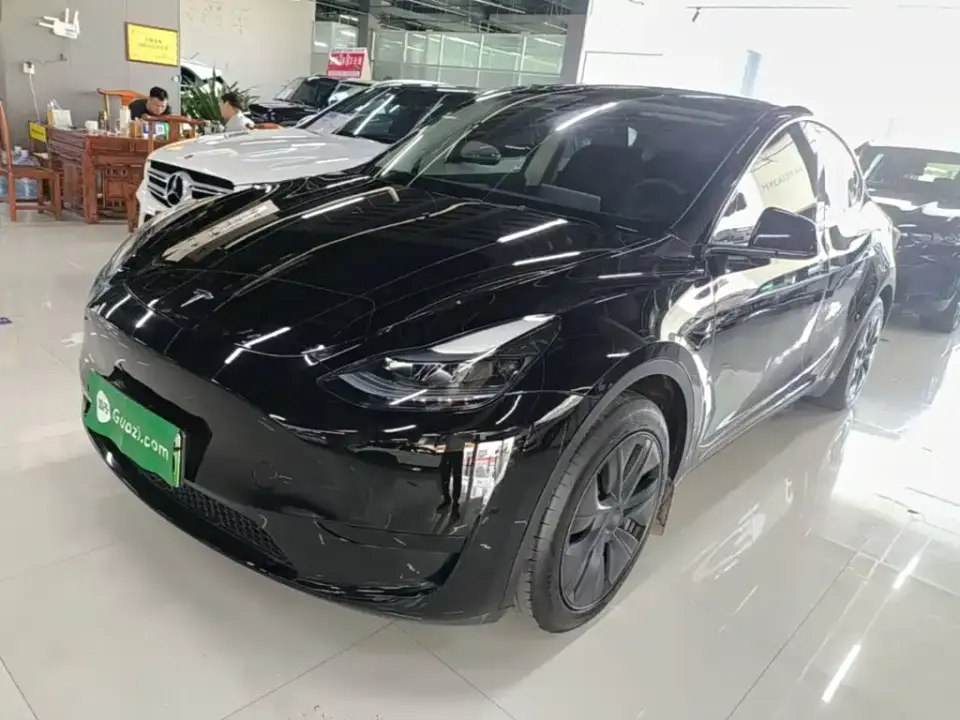 Tesla Model Y Rear-Wheel Drive Version 2024