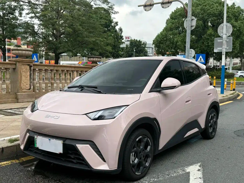BYD Seagull 305km Freedom 2025