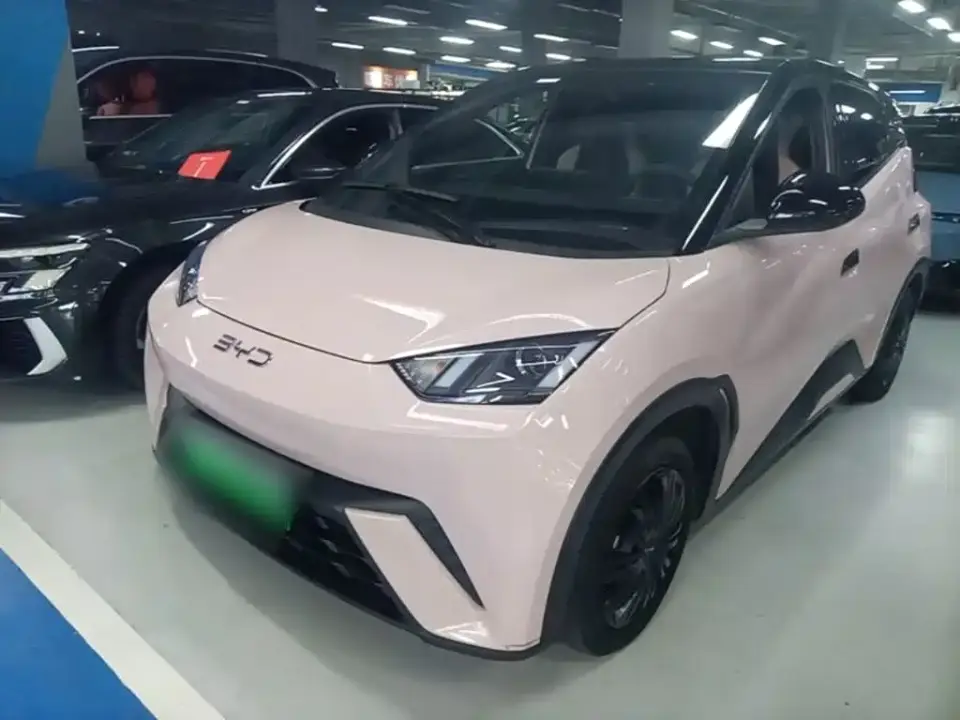 BYD Seagull Glory Edition 305km Vitality Edition 2024