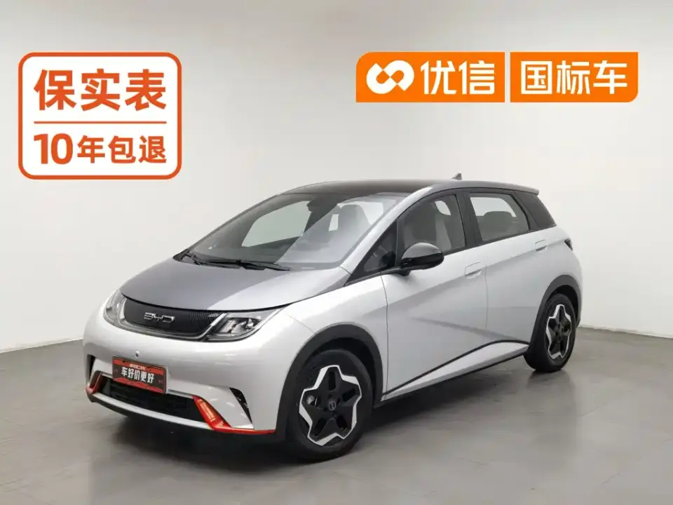 BYD Dolphin Model 405km Fashion Edition 2022