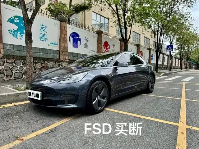 Tesla Model 3 Facelift Long Range Rear-Wheel Drive 2020