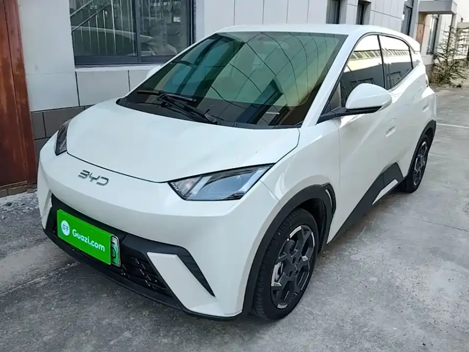 BYD Seagull 305km Freedom 2024
