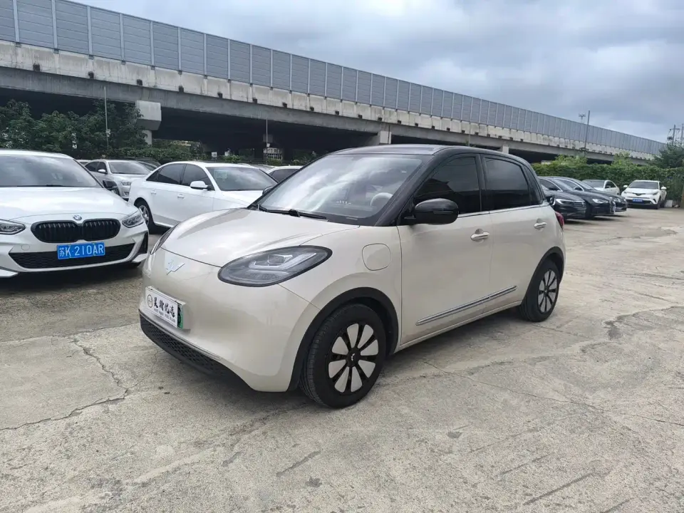 Wuling Motors Wuling Bingo 333km Comfort Edition 2024
