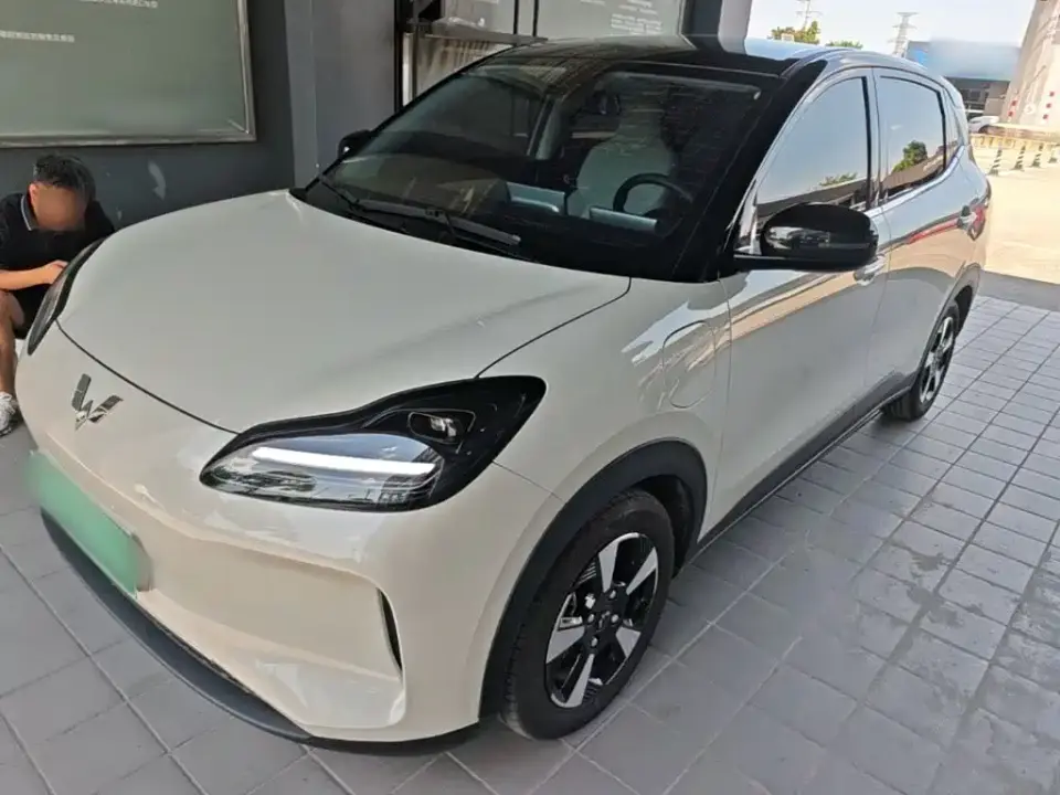 Wuling Motors Wuling Binguo PLUS Model 330km 5-Seater 2025