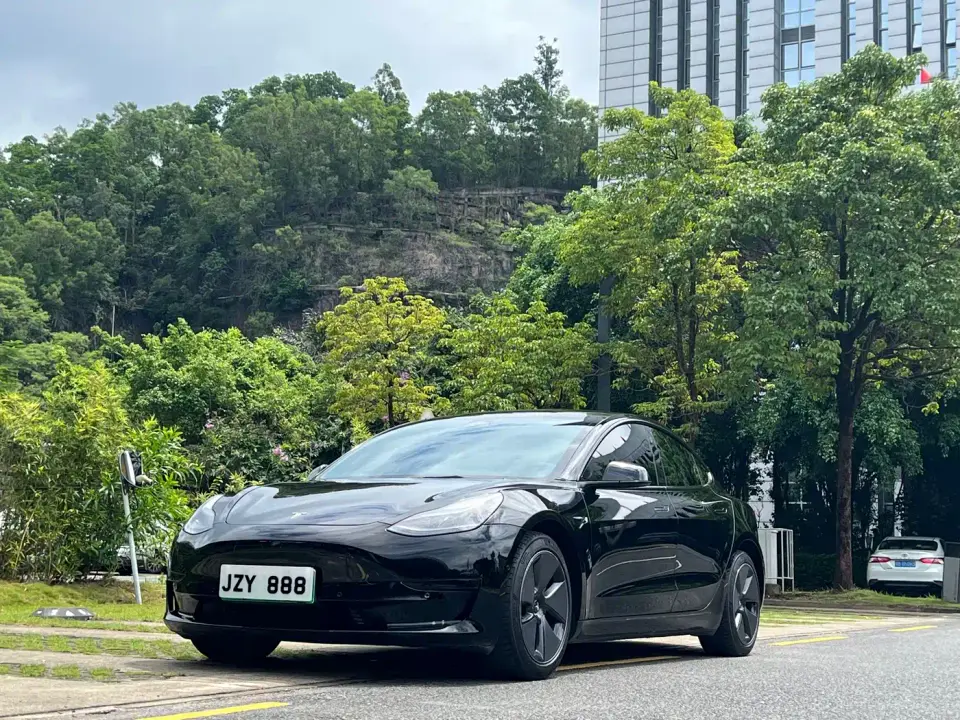 Tesla Model 3 Model Rear-Wheel Drive Version 2022