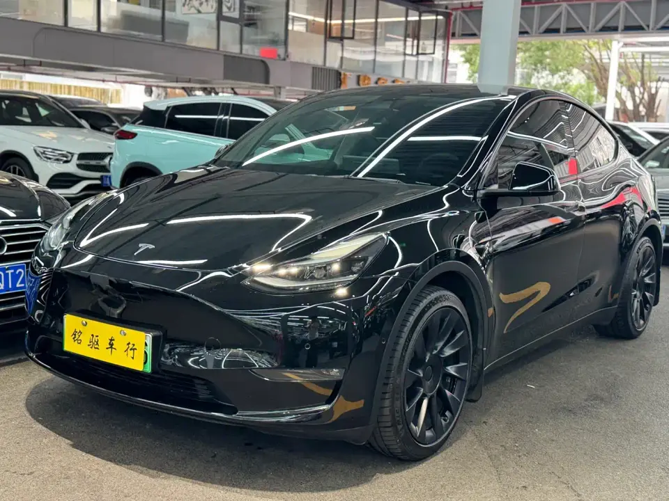 Tesla Model Y Standard Range Rear-Wheel Drive 2021