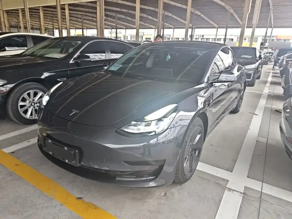 Tesla Model 3 Standard Range Rear-Wheel Drive Upgrade 3D6 2021