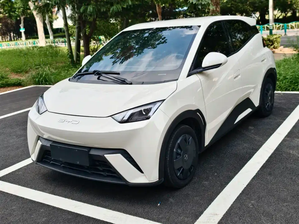 BYD Seagull Glory Edition 305km Vitality Edition 2024