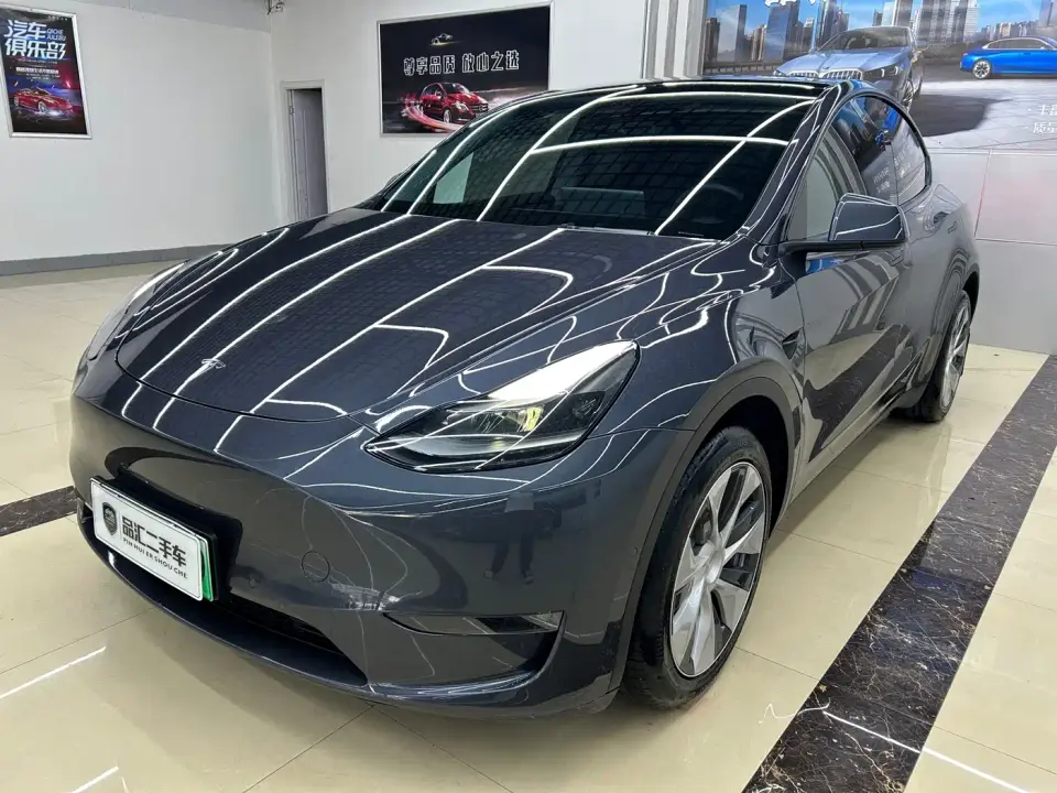 Tesla Model Y Model Long Range AWD 2021