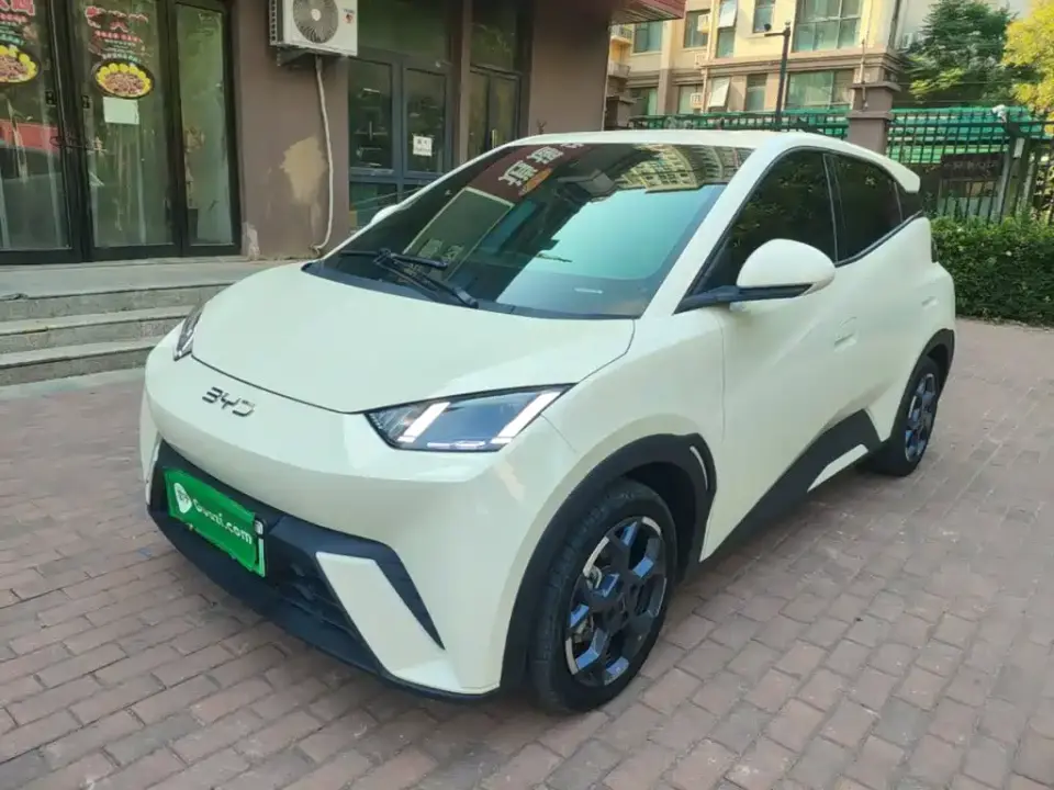 BYD Seagull Glory Edition 305km Freedom Edition 2024