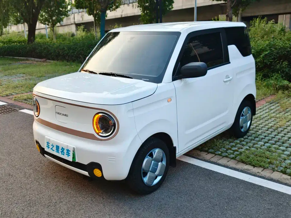 Geely Galaxy Panda Panda mini 200km Soaring Dragon Edition 2024