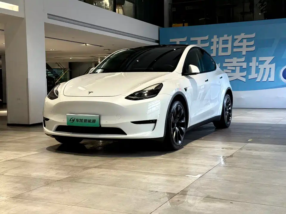 Tesla Model Y Model Long Range AWD 2021