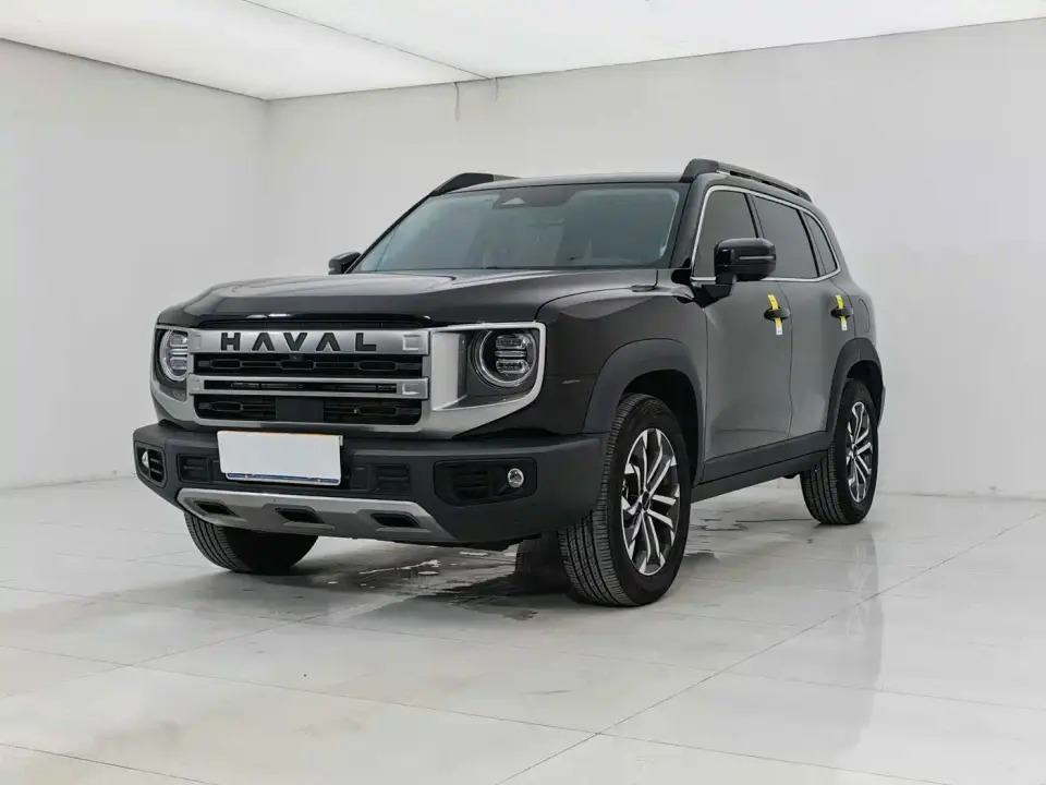 Haval Big Dog 1.5T DCT Border Collie Edition 2023