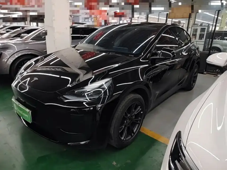 Tesla Model Y Rear-Wheel Drive Edition 2024