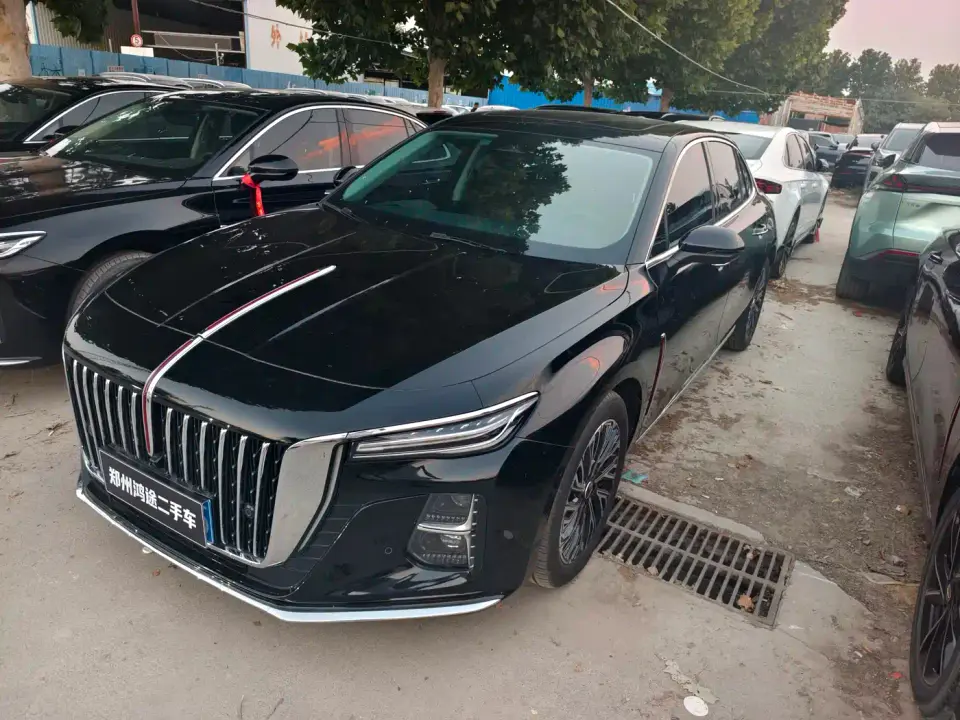 Hongqi H5 2.0T Automatic Qixiang 500,000 Units Commemorative Edition 2025