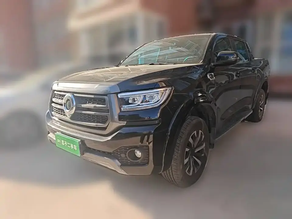 Great Wall Pao Model 2.4T Passenger Version Automatic Diesel 4WD Comfort Type 2025