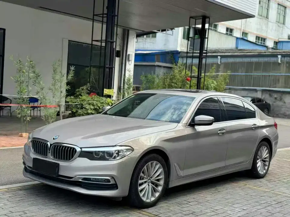 BMW 5 Series 530Li Leading Luxury Package 2019