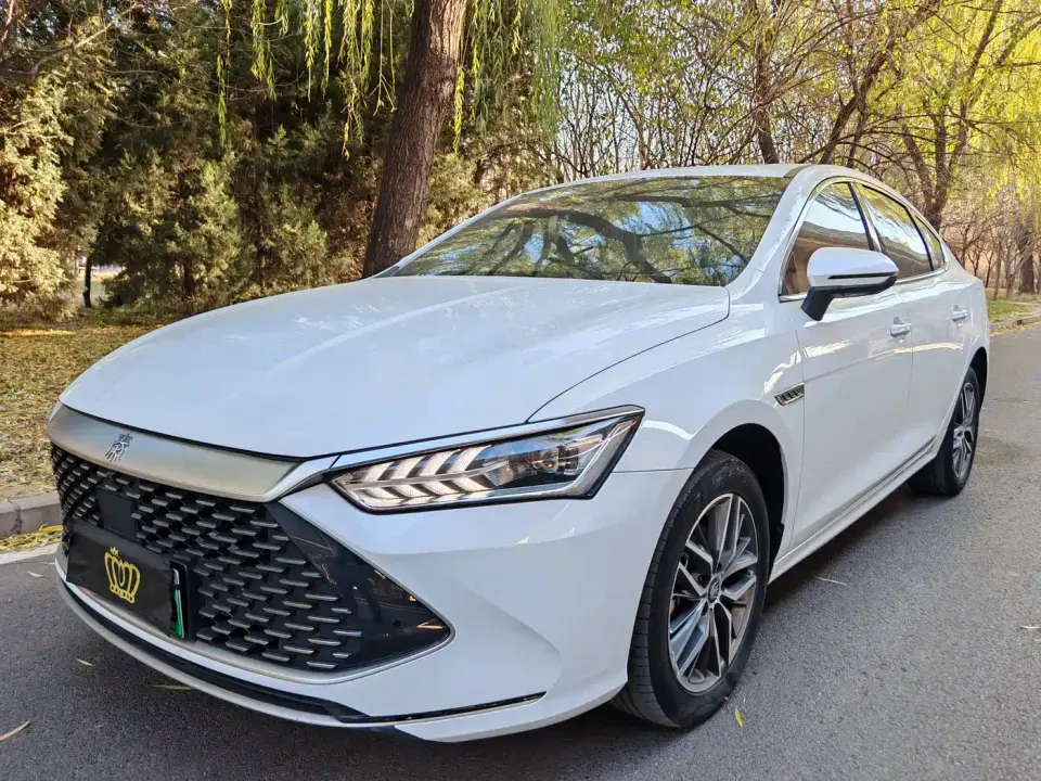 BYD Qin PLUS Glory Edition DM-i 120KM Premium 2024