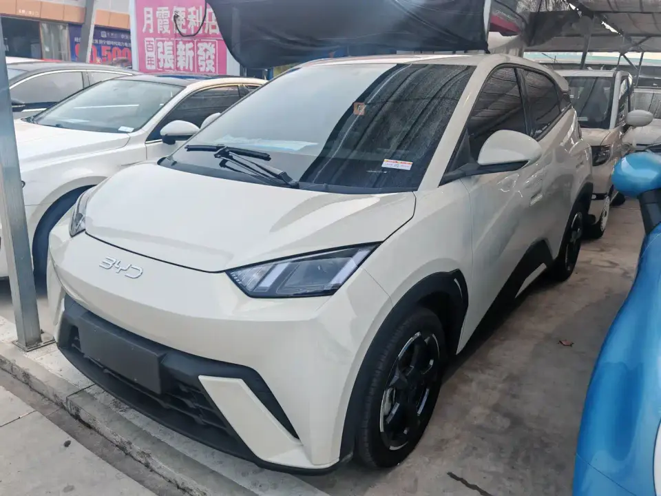 BYD Seagull Glory Edition 305km Freedom Edition 2024
