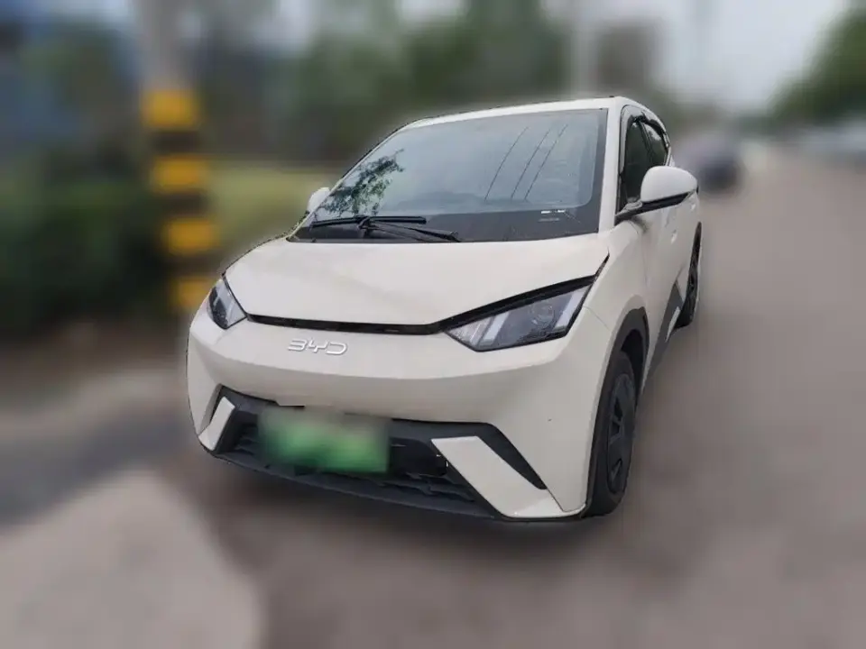 BYD Seagull 305km Vitality 2025