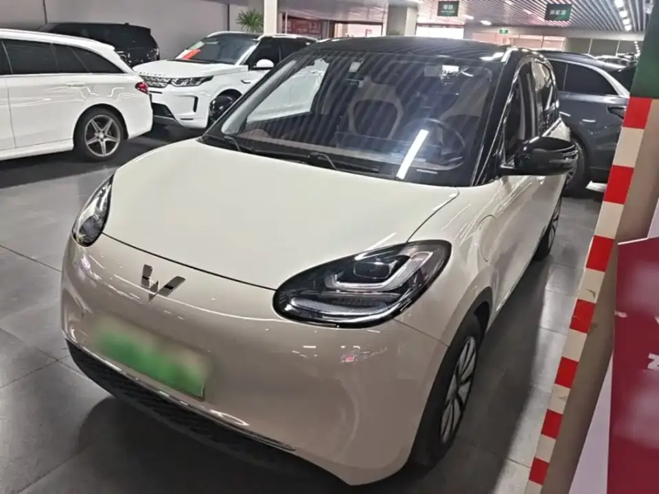 Wuling Motors Wuling Bingo 410km Lingxi Premium Edition 2024