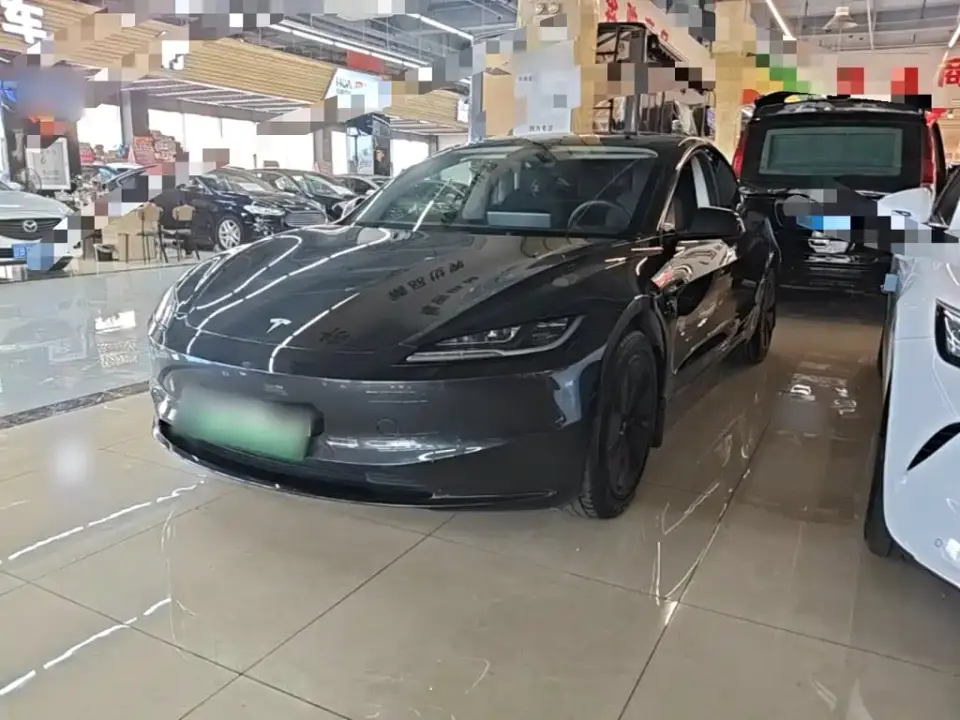 Tesla Model 3 Model Rear-Wheel Drive Edition 2025