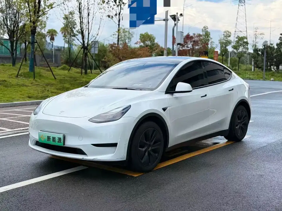 Tesla Model Y Rear-Wheel Drive Version 2024