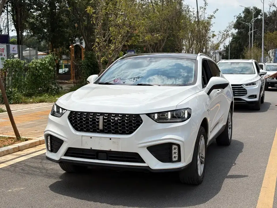 Wey VV5 1.5T 2WD Style Pioneer 2019