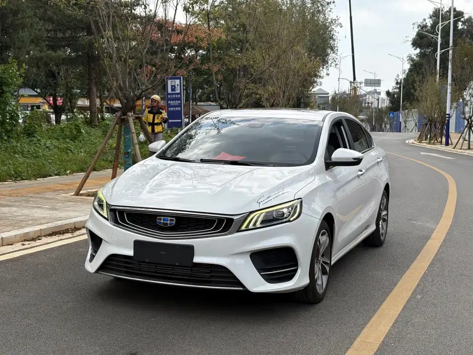 Geely Binrui 1.4T CVT Binzhi Edition 2019