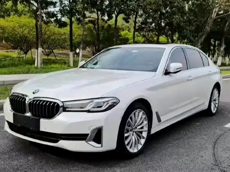 BMW 5 Series 530Li Premium Luxury Package 2021
