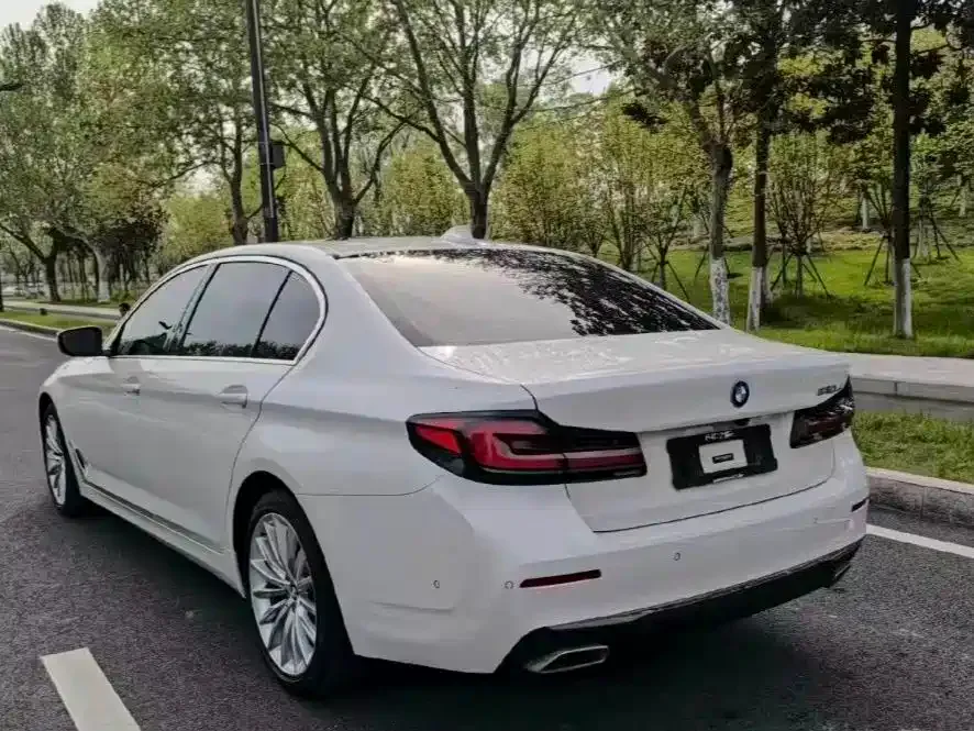BMW 5 Series 530Li Premium Luxury Package 2021 — фото 9