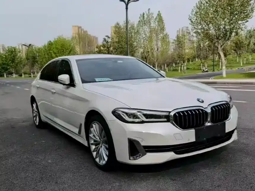 BMW 5 Series 530Li Premium Luxury Package 2021 — фото 3