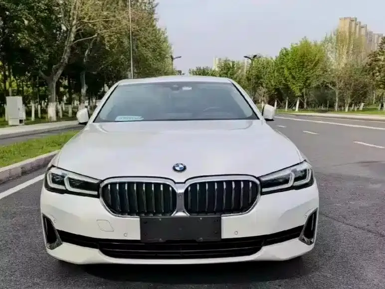 BMW 5 Series 530Li Premium Luxury Package 2021 — фото 2