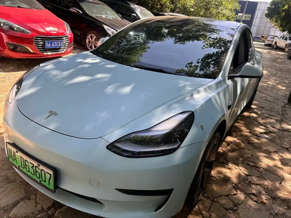 Tesla Model 3 Standard Range Rear-Wheel Drive Upgrade 3D6 2021