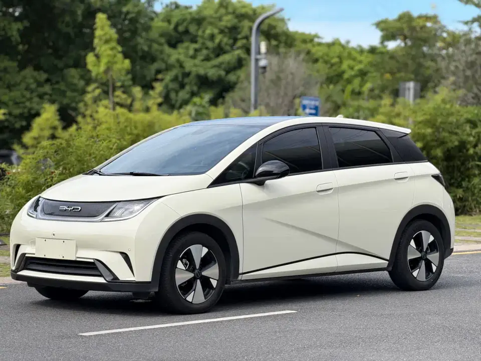 BYD Dolphin Glory Edition 420km Fashion Edition 2024